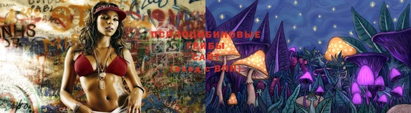 марки lsd Кущёвская