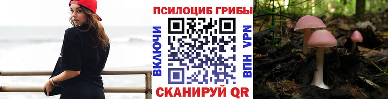 Галлюциногенные грибы Psilocybine cubensis  Красково 