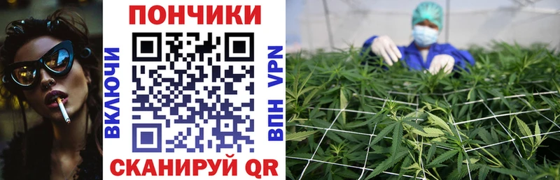 Канабис гибрид  ОМГ ОМГ онион  Красково 